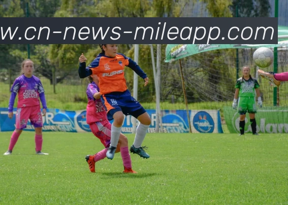 米乐体育APP 高清赛事图